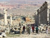 IMG_5211 - Apamea